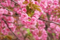 黑客盗QQ号神器app（盗号黑客号）