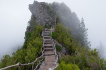 黑客在线app追款（黑客在线app追款平台）